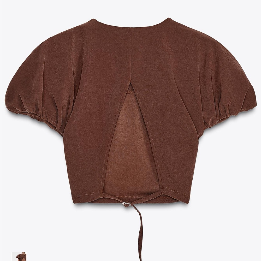 Zara Brown Puff Sleeve Blouse